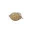 Loading Image 1 of 2