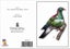 WOP - Sophie Blokker Greetings Card - Wood Pigeon Carousel 1