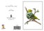 WAX - Sophie Blokker Greetings Card - Waxeye Carousel 1