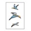 Loading Image 1 of 1