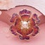 Ophelia Peony Sculpted Resin Brooch - Translucent, Transparent, Blossom, Flow... Carousel 9