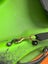 Kayak seat - 2 x Deluxe adjustable seats Carousel 2