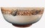 Royal Dolton Fruit Bowl D4258 Carousel 6