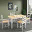 Dining Table Chairs Set Carousel 6