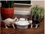 DRINKWELL CERAMIC AVALON PET FOUNTAIN 2 LITRES Carousel 6