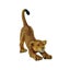 CollectA African Wildlife - 20 piece set Carousel 8