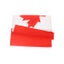 Canada Flag Canadian Carousel 9