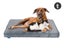 Fetch Orthopedic Memory Foam Dog Bed 12cm Thick X… Carousel 1