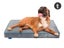 Fetch Orthopedic Memory Foam Dog Bed 12cm Thick M… Carousel 1