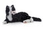 Joy For All Robotic Companion Pet for Dementia & Elderly, Black & White Carousel 1
