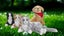 Joy For All Robotic Companion Pet for Dementia, & Elderly, Grey & White Carousel 8