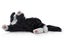 Joy For All Robotic Companion Pet for Dementia & Elderly, Black & White Carousel 18