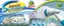 Vistara Deluxe 360° Spin Clean Scrubber with 3 interchangeable heads Carousel 9