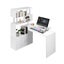 Office Computer Desk Carousel 12