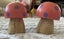 Set of two wooden mushrooms, 5.5cm Carousel 3