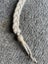 German army shooting cord with badge Carousel 5