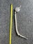German army shooting cord with badge Carousel 3