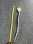 German army shooting cord with badge in Gold Carousel 2