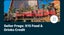 4 x Go city Las Vegas 2 day passes Carousel 20