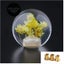 gallery view thumbnail