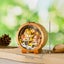 Woodbests - Squirrel's Reading Kit - 3D Wooden Puzzle Night Light Carousel 3