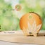 Woodbests - Squirrel's Reading Kit - 3D Wooden Puzzle Night Light Carousel 4