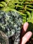 (VARY RARE) High Quality Douglas Creek Pounamu Carousel 6