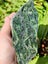 (VARY RARE) High Quality Douglas Creek Pounamu Carousel 7