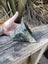 (VARY RARE) High Quality Douglas Creek Pounamu Carousel 9