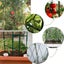 PTN NEW Tomato Plant Cage Sale Sale Carousel 9