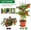 PTN NEW Tomato Plant Cage Sale Sale Carousel 10