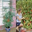 PTN NEW Tomato Plant Cage Sale Sale Carousel 11