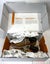 Timberland Men's Maple Grove Chukka Boots in Wheat Nubuck US13 ~ As New in Box Carousel 8