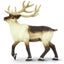 Loading Image 1 of 5