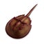 Loading Image 1 of 5
