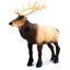 Loading Image 1 of 9