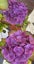 Loading Image 1 of 19