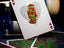 Teenage Mutant Ninja Turtles Playing Cards by Theory11 Carousel 6