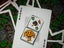 Teenage Mutant Ninja Turtles Playing Cards by Theory11 Carousel 8