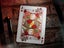 Teenage Mutant Ninja Turtles Playing Cards by Theory11 Carousel 11
