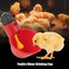 10pcs Automatic Chicken Waterer Cups | Chicken Water Feeder - New Carousel 7