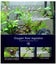 Sunsun Aquarium Surface Protein Skimmer 5W JY03 Aquarium Oil Film Processor J... Carousel 4