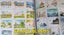 Roller Blinds with cover Non Blackout( Winter special ) Carousel 11