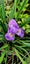 Loading Image 4 of 4