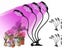 Loading Image 1 of 7