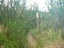gallery view thumbnail