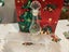 Vintage Avon glass Gold fish Bubble bath bottle Carousel 4