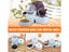 Automatic Pet Feeder NZ Clearance Carousel 3