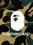 A Bathing Ape by Nigo - Hardcover Carousel 1