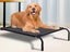 PTN NEW Dog Bed Sale Sale Sale Carousel 3